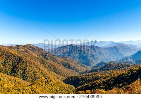 Scenic Landscape With Trees In Mountain Forest In Autumn.