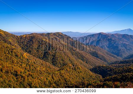 Scenic Landscape With Trees In Mountain Forest In Autumn.