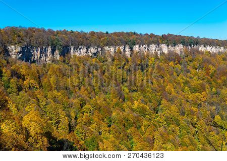 Scenic Landscape With Trees In Mountain Forest In Autumn.