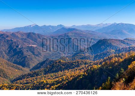 Scenic Landscape With Trees In Mountain Forest In Autumn.