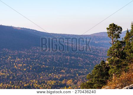 Scenic Landscape With Trees In Mountain Forest In Autumn.