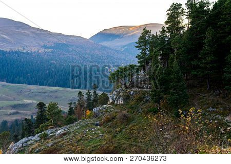 Scenic Landscape With Trees In Mountain Forest In Autumn.