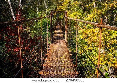 Narrow Metal Foot Bridge Across Forest In Autumn.