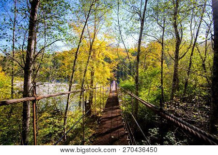 Narrow Metal Foot Bridge Across Forest In Autumn.