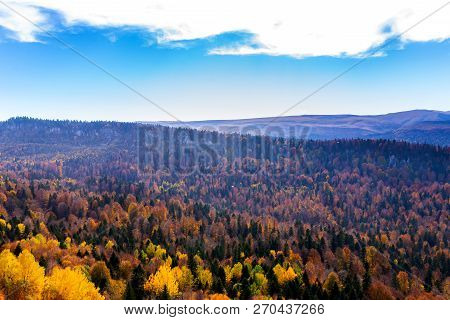 Scenic Landscape With Trees In Mountain Forest In Autumn.