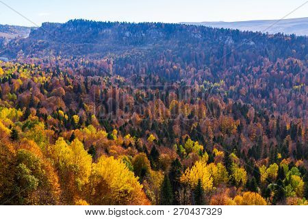 Scenic Landscape With Trees In Mountain Forest In Autumn.