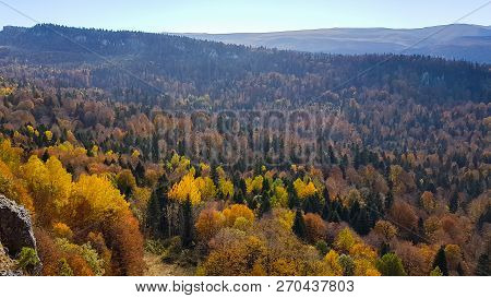 Scenic Landscape With Trees In Mountain Forest In Autumn.