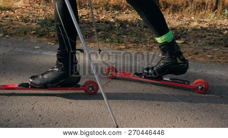 Training An Athlete On The Roller Skaters. Biathlon Ride On The Roller Skis With Ski Poles, In The H