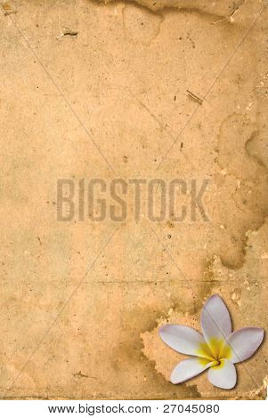 Gyönyörű fehér virág (leelawadee) grunge vintage régi papír