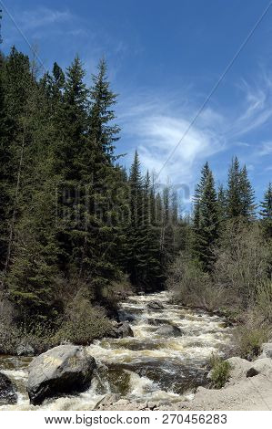 Landscape Of The Mountain River Cibitka. Altai Republic.siberia. Russia
