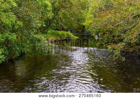Trees And Reflection In Owenriff River