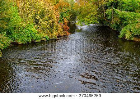 Trees And Reflection In Owenriff River