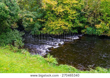 Trees And Reflection In Owenriff River