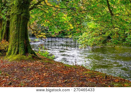 Trees And Reflection In Owenriff River