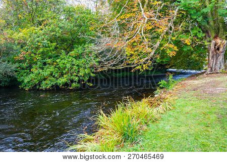 Trees And Reflection In Owenriff River