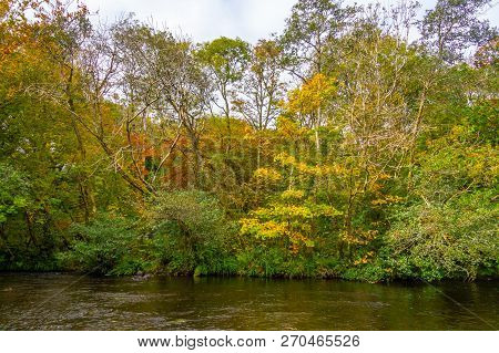 Trees And Reflection In Owenriff River