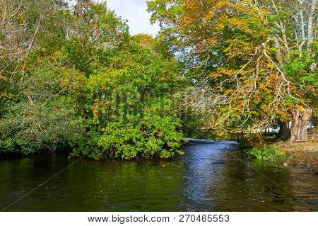 Trees And Reflection In Owenriff River