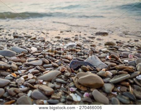 Beach Land Water Pebble Stone Rock Sea Solid No People Day Surface Level Selective Focus Large Group