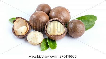 Macadamia Nuts Isolated On White Background Clouseup.