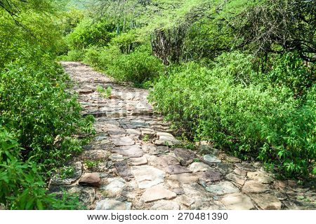 Path In Chicamocha River Canyon In Colombia