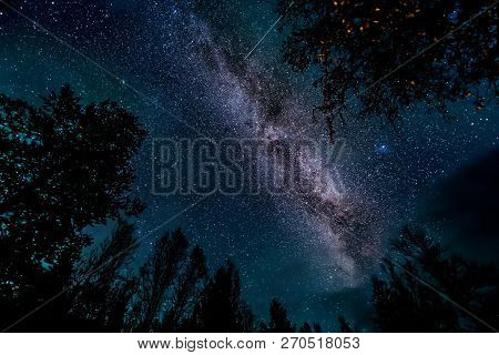 The Milky Way Galaxy Above Forest ( Tree Line )