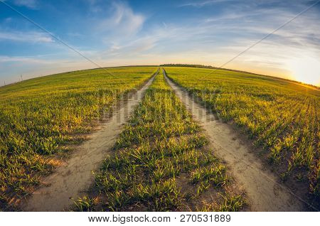 Landscape Dirt Road In A Field At Sunset Leaving Distant, Fisheye Distortion