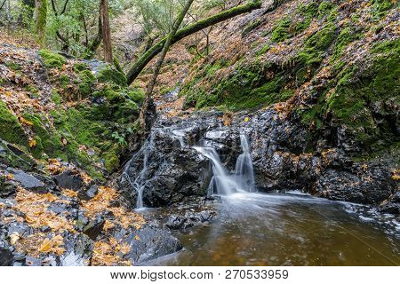 Granuja Falls Flowing. Uvas Canyon County Park, Santa Clara County, California, Usa.