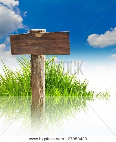 Muestra con césped y azul cielo de madera