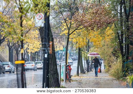 Montreal, Canada - November 3, 2018: Man Walking With An Umbrella During A Rainy Autumn Afternoon In