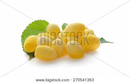 Yellow Thai Silkworm Cocoons Pile Isolated On White Background.
