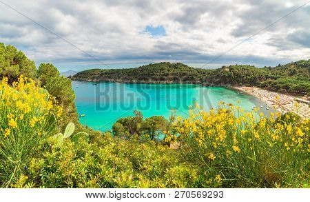 Landscape With Fetovaia Beach On Elba Island, Tuscany, Italy