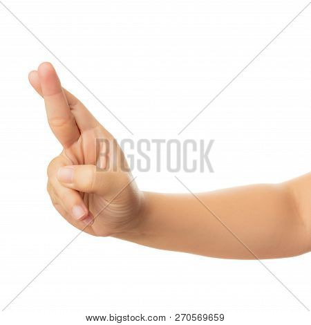 Human Hand Isolate On White Background