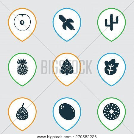 Food Icons Set With Cactus, Pineapple, Fig And Other Healthy Elements. Isolated Vector Illustration 