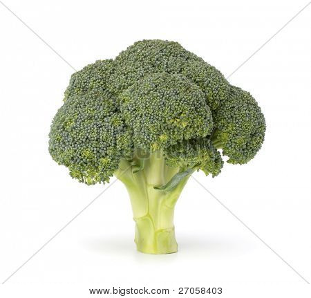 Broccoli vegetabiliska isolerad på vit bakgrund