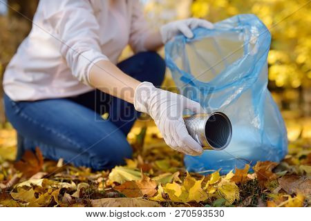 Volunteer Picking Up The Metal Garbage And Putting It In Biodegradable Trash-bag On Outdoors. Ecolog