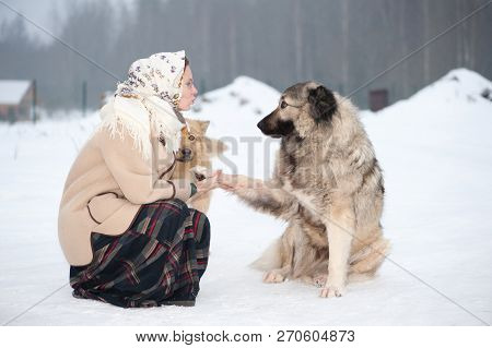 The Girl Trains Dogs On A Snowy Ground In The Middle Of The Forest In Winter. The Girl In A Coat, A 
