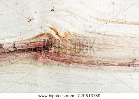 Split Wood, Piece Of Trunk. Wooden Structure Texture