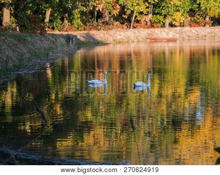 Autumn At The Lake.
Water Reservoir, Reservoir. A Calm Windless Day, A Smooth Surface Of Water. Shor