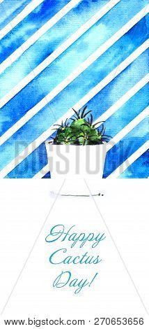 Succulent Cactus In A White Pot Striped Blue Watercolor Background
