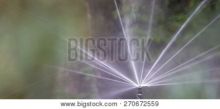 Automatic Sprinkler System Watering The Lawn On A Background Of Green Grass