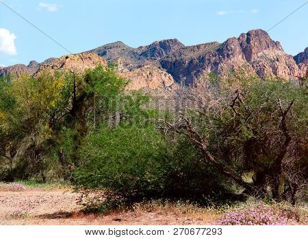 Usury Mountain Park Near Phoenix Arizona Maricopa County