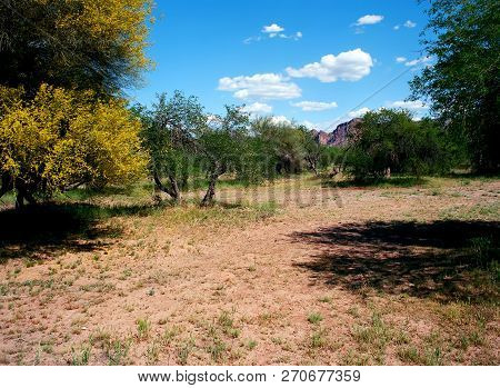 Usury Mountain Park Near Phoenix Arizona Maricopa County