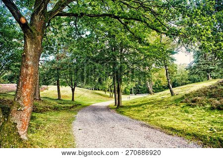 Mystic Forest Path With Intersting Lightning From The Side. Road In The Summer Clear Forest