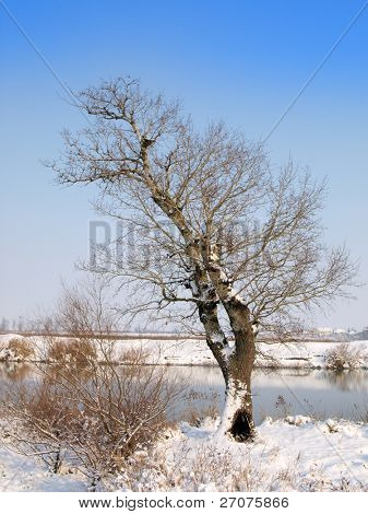 Winterlandschaft