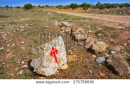 Saint James Way Templarios cross sign by Camino de Santiago of spain