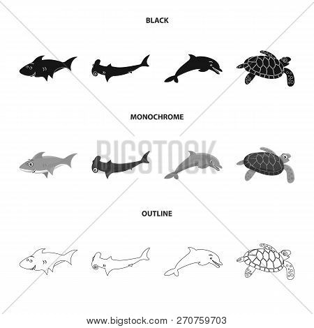 Vector Illustration Of Sea And Animal Icon. Set Of Sea And Marine Vector Icon For Stock.
