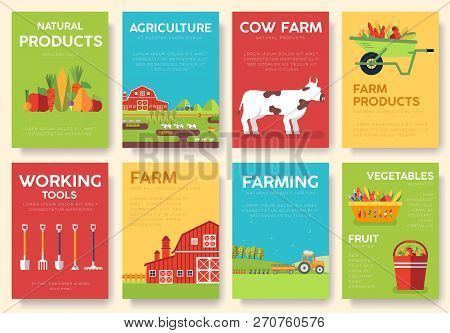 Farm Information Cards Set. Nature Template Of Flyear, Magazines, Posters, Book Cover, Banners. Eco 