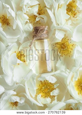 Arabian Attar In A Mini Bottle. Concentrated Oud Oil Perfume