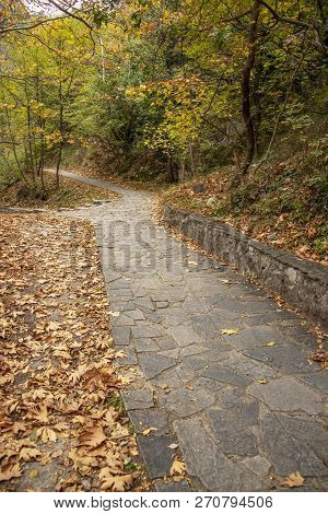 Stone-paved Footpaths Strewn With Dry Fall Foliage In The Woods. Greece
