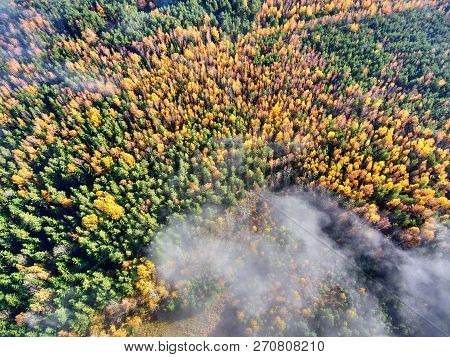 Autumn Forest With Fog And Clouds From The Air